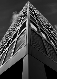 Декоративное изображение